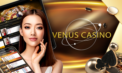 7p55 4455 bet cassino H5